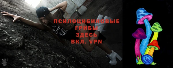 крисы Аркадак