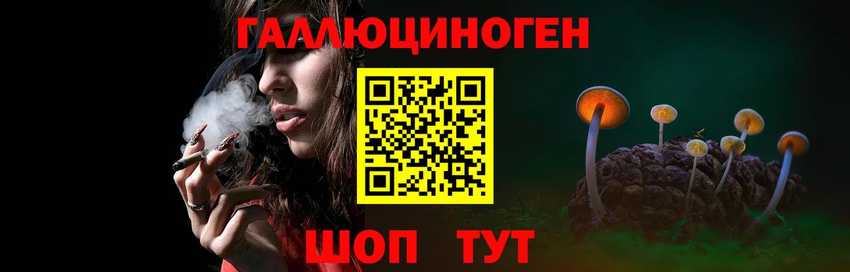 сколько стоит  Вход с VPN  Когалым  Галлюциногенные грибы мицелий 