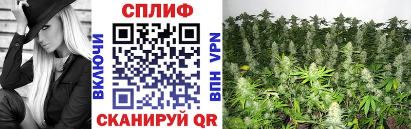 Канабис ГИДРОПОН  Когалым 